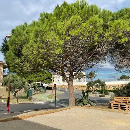 منتزه العطل Vvf Narbonne-plage Saint-pierre-la-mer فلوري