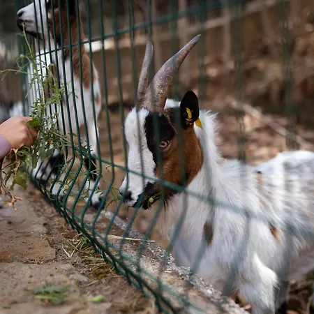 Feriepark Vvf Narbonne-plage Saint-pierre-la-mer 3*