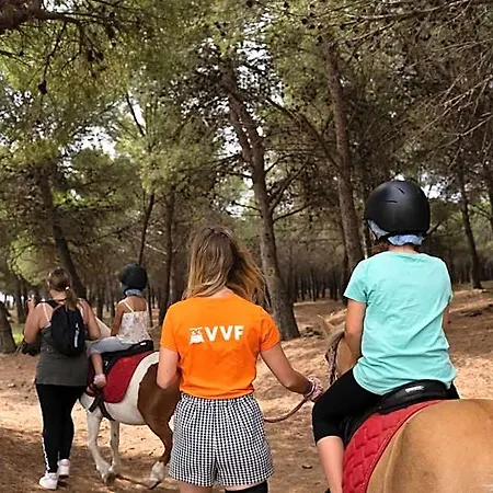 Vvf Narbonne-plage Saint-pierre-la-mer 3* 弗勒里
